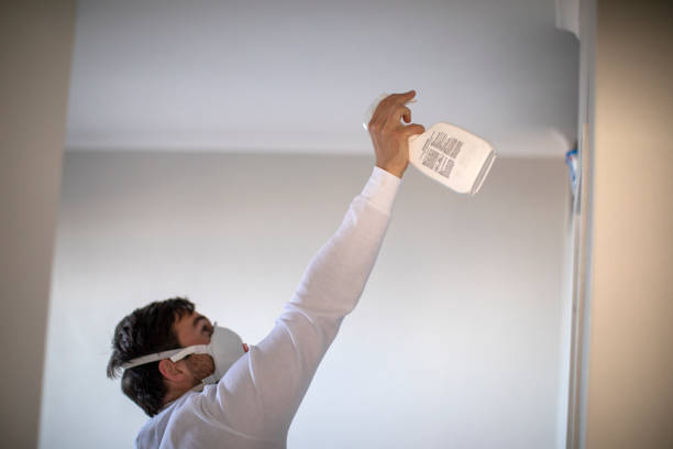 Best Certified Mold Removal  in Riverside, UT