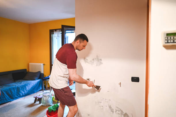 Best Attic Mold Removal  in Riverside, UT